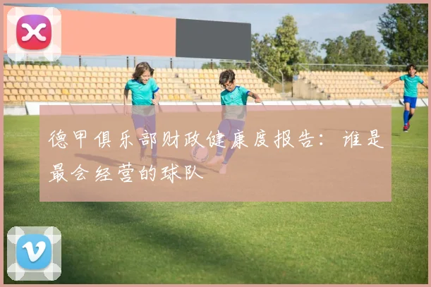 德甲俱乐部财政健康度报告:谁是最会经营的球队