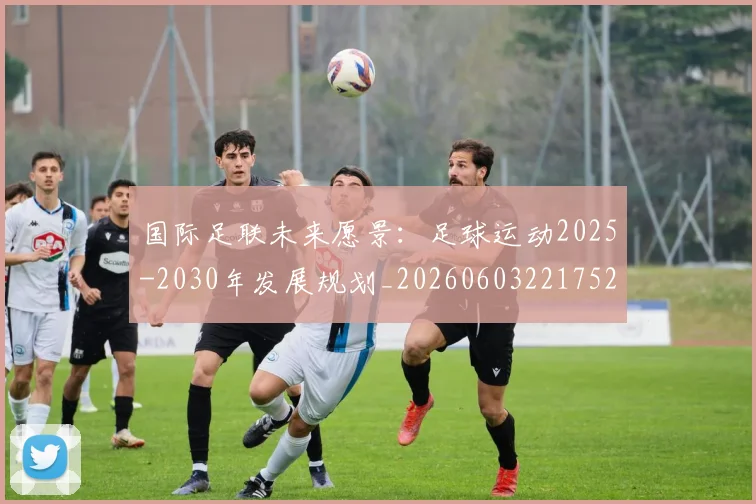 国际足联未来愿景：足球运动2025-2030年发展规划_20260603221752